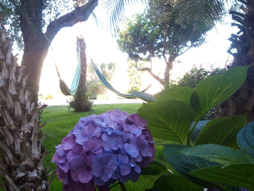 Nora And Guest house Pula